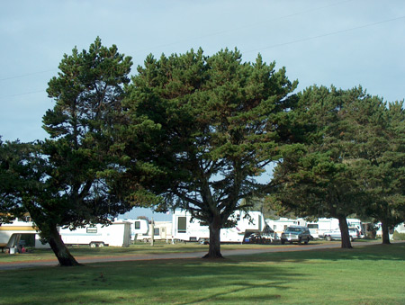 Camping and RV park at the Ship Ashore